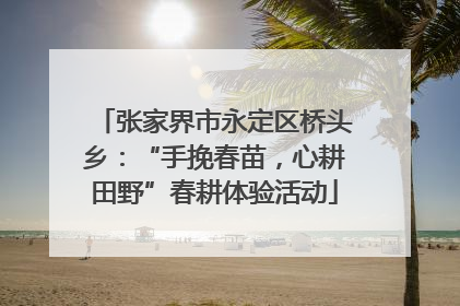 张家界市永定区桥头乡：“手挽春苗，心耕田野”春耕体验活动