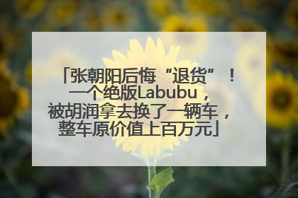 张朝阳后悔“退货”！一个绝版Labubu，被胡润拿去换了一辆车，整车原价值上百万元