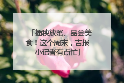 插秧放蟹、品尝美食！这个周末，吉报小记者有点忙