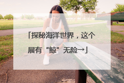 探秘海洋世界，这个展有“鲸”无险→