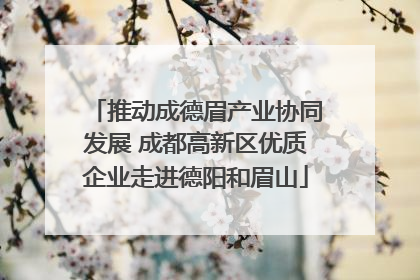 推动成德眉产业协同发展 成都高新区优质企业走进德阳和眉山