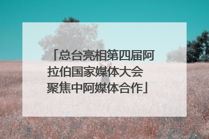 总台亮相第四届阿拉伯国家媒体大会 聚焦中阿媒体合作