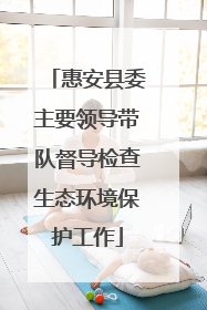 惠安县委主要领导带队督导检查生态环境保护工作