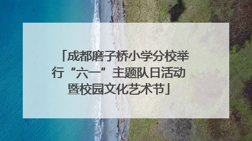 成都磨子桥小学分校举行“六一”主题队日活动暨校园文化艺术节