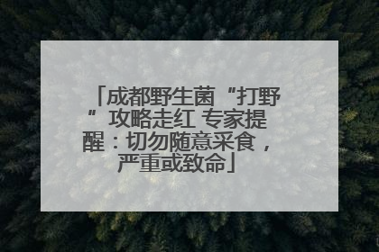 成都野生菌“打野”攻略走红 专家提醒：切勿随意采食，严重或致命