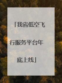 我省低空飞行服务平台年底上线
