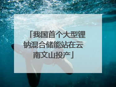 我国首个大型锂钠混合储能站在云南文山投产