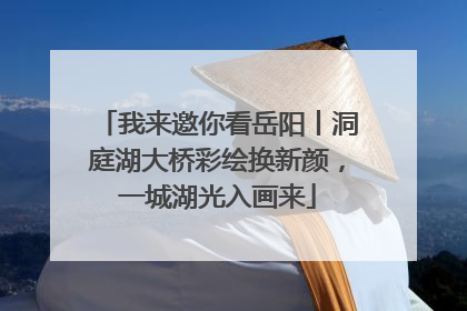 我来邀你看岳阳丨洞庭湖大桥彩绘换新颜，一城湖光入画来