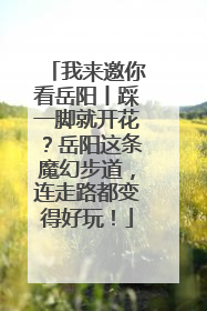 我来邀你看岳阳丨踩一脚就开花？岳阳这条魔幻步道，连走路都变得好玩！