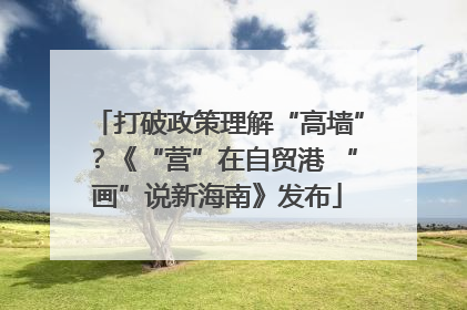 打破政策理解“高墙”？《“营”在自贸港 “画”说新海南》发布