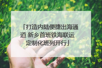打造内陆便捷出海通道 新乡首班铁海联运定制化班列开行