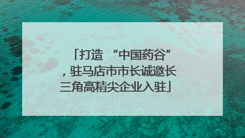 打造 “中国药谷”，驻马店市市长诚邀长三角高精尖企业入驻