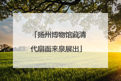扬州博物馆藏清代扇面来泉展出