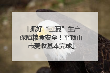抓好“三夏”生产 保障粮食安全！平顶山市麦收基本完成