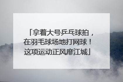 拿着大号乒乓球拍，在羽毛球场地打网球！这项运动正风靡江城