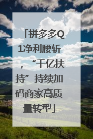 拼多多Q1净利腰斩，“千亿扶持”持续加码商家高质量转型