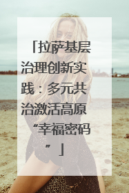 拉萨基层治理创新实践：多元共治激活高原“幸福密码”
