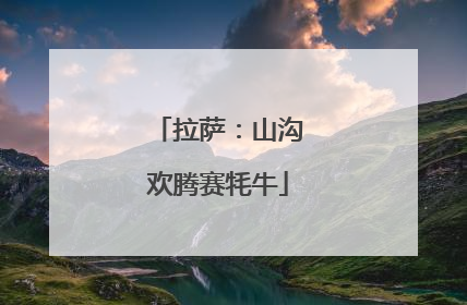 拉萨：山沟欢腾赛牦牛