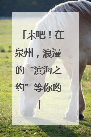 来吧！在泉州，浪漫的“滨海之约”等你哟