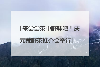 来尝尝茶中野味吧！庆元荒野茶推介会举行