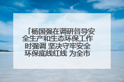 杨国强在调研督导安全生产和生态环保工作时强调 坚决守牢安全环保底线红线 为全市经济社会高质量发展提供坚强保障