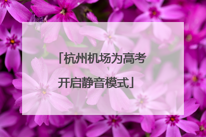杭州机场为高考开启静音模式