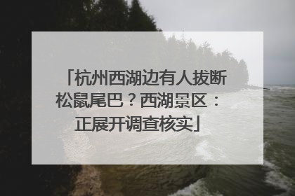 杭州西湖边有人拔断松鼠尾巴？西湖景区：正展开调查核实