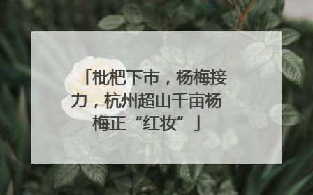 枇杷下市，杨梅接力，杭州超山千亩杨梅正“红妆”