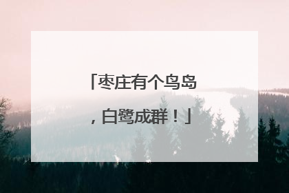 枣庄有个鸟岛，白鹭成群！