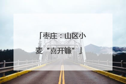 枣庄：山区小麦“喜开镰”
