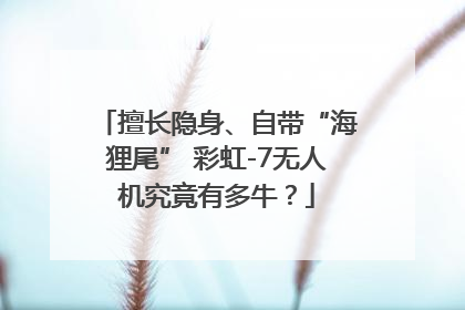 擅长隐身、自带“海狸尾” 彩虹-7无人机究竟有多牛？