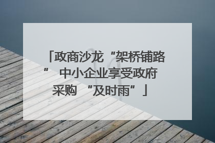 政商沙龙“架桥铺路” 中小企业享受政府采购 “及时雨”