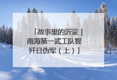 故事里的沂蒙｜南海第一武工队智歼日伪军（上）