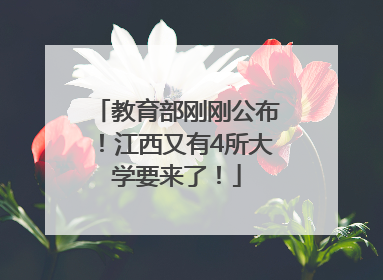 教育部刚刚公布！江西又有4所大学要来了！
