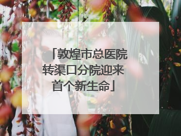 敦煌市总医院转渠口分院迎来首个新生命