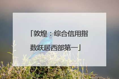 敦煌：综合信用指数跃居西部第一