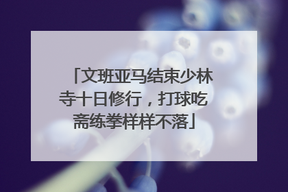 文班亚马结束少林寺十日修行，打球吃斋练拳样样不落