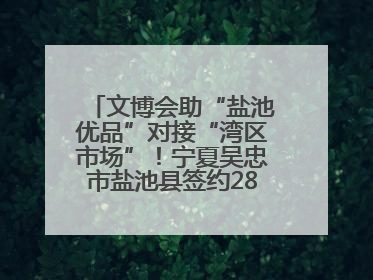 文博会助“盐池优品”对接“湾区市场”！宁夏吴忠市盐池县签约28.44亿元