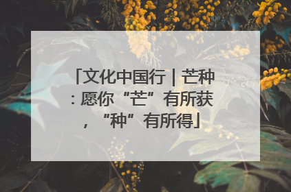 文化中国行｜芒种：愿你“芒”有所获，“种”有所得