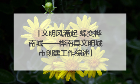 文明风涌起 蝶变桦南城——桦南县文明城市创建工作综述