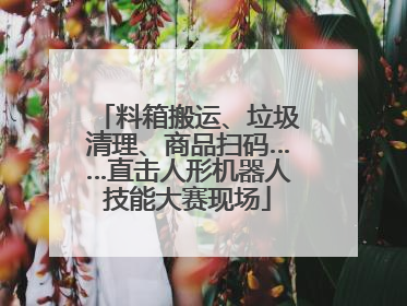 料箱搬运、垃圾清理、商品扫码……直击人形机器人技能大赛现场