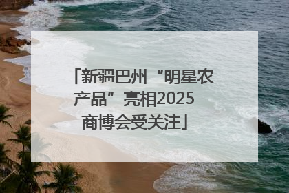 新疆巴州“明星农产品”亮相2025商博会受关注