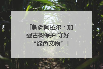 新疆阿拉尔：加强古树保护 守好“绿色文物”