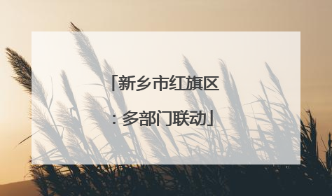 新乡市红旗区：多部门联动