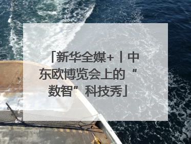 新华全媒+丨中东欧博览会上的“数智”科技秀
