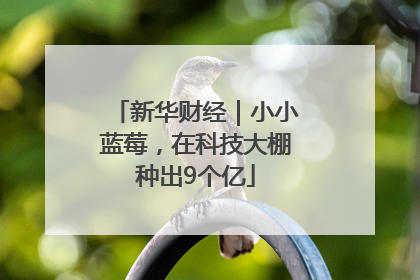 新华财经｜小小蓝莓，在科技大棚种出9个亿