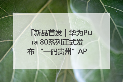 新品首发｜华为Pura 80系列正式发布 “一码贵州”APP抢先开售！