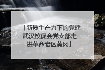 新质生产力下的党建 武汉校促会党支部走进革命老区黄冈