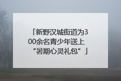 新野汉城街道为300余名青少年送上“暑期心灵礼包”