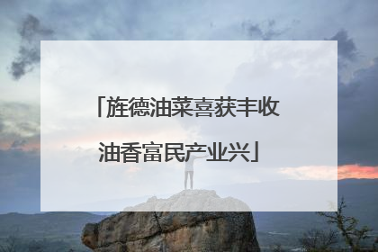旌德油菜喜获丰收 油香富民产业兴